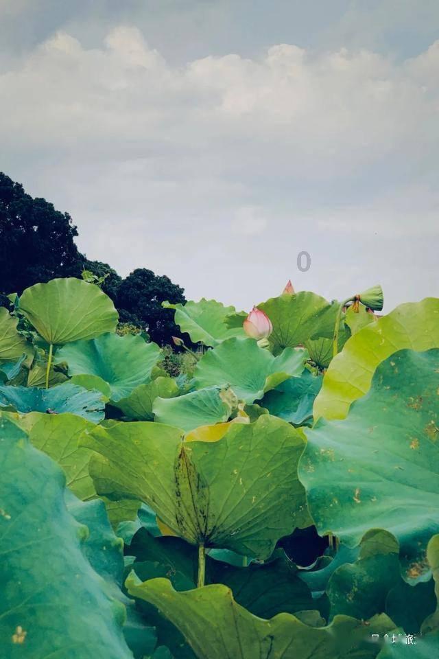 探索神秘小屋